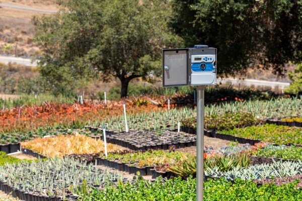 Programadores tradicionales